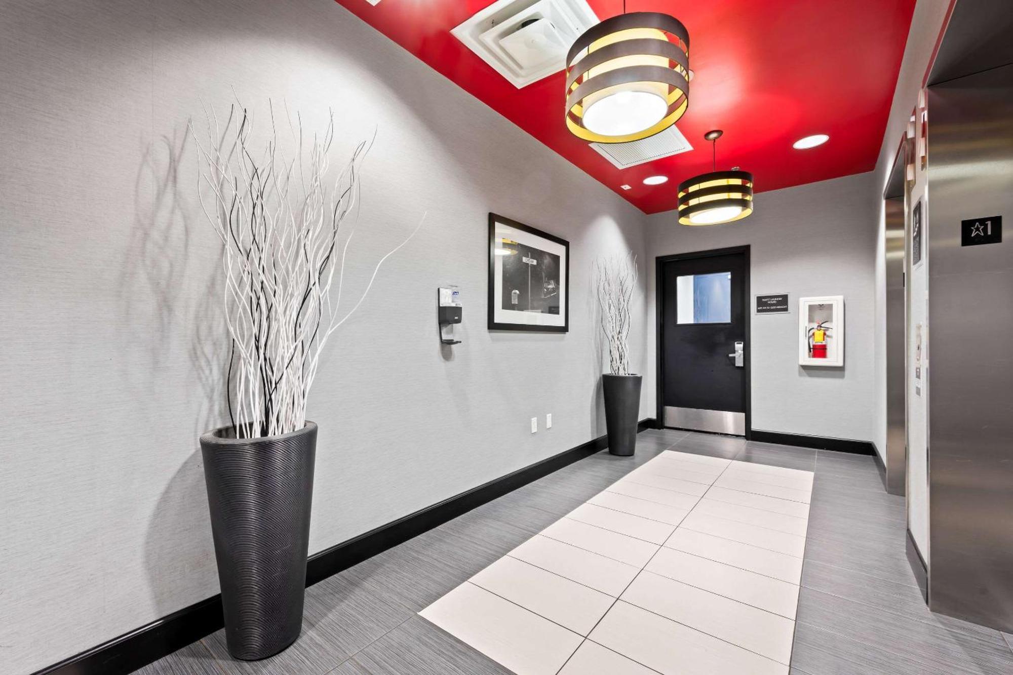 Comfort Suites Williamsburg Historic Area Εξωτερικό φωτογραφία